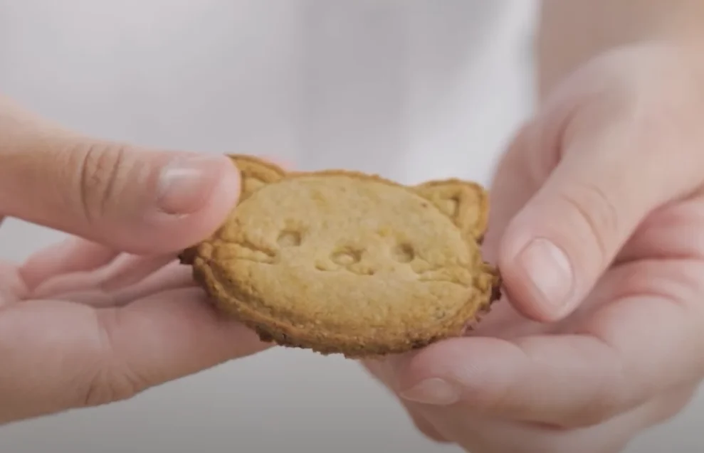 Biscoitinhos Adoçados com Uva Passa para Crianças